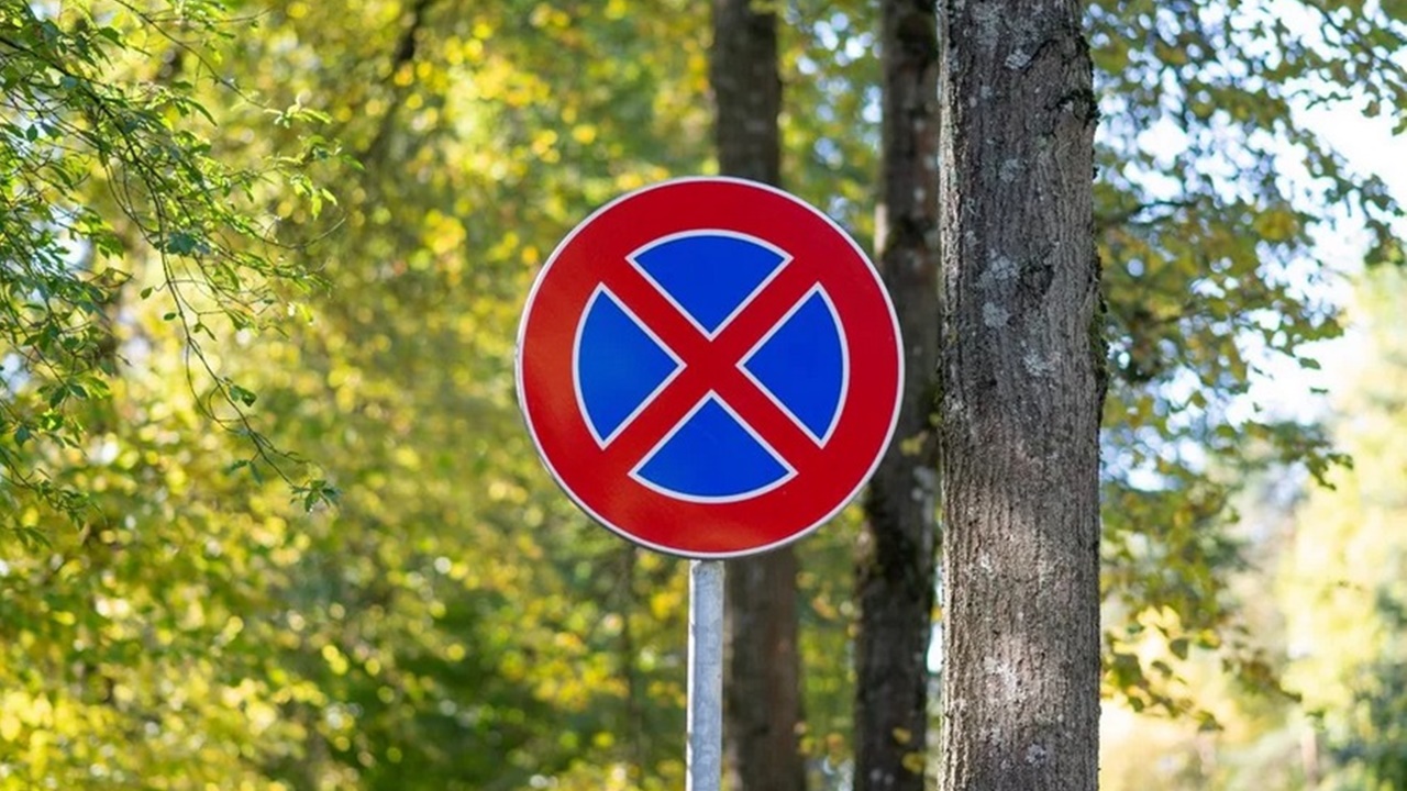 Utrudnienia na drodze powiatowej w Serocku. Zmiana organizacji ruchu